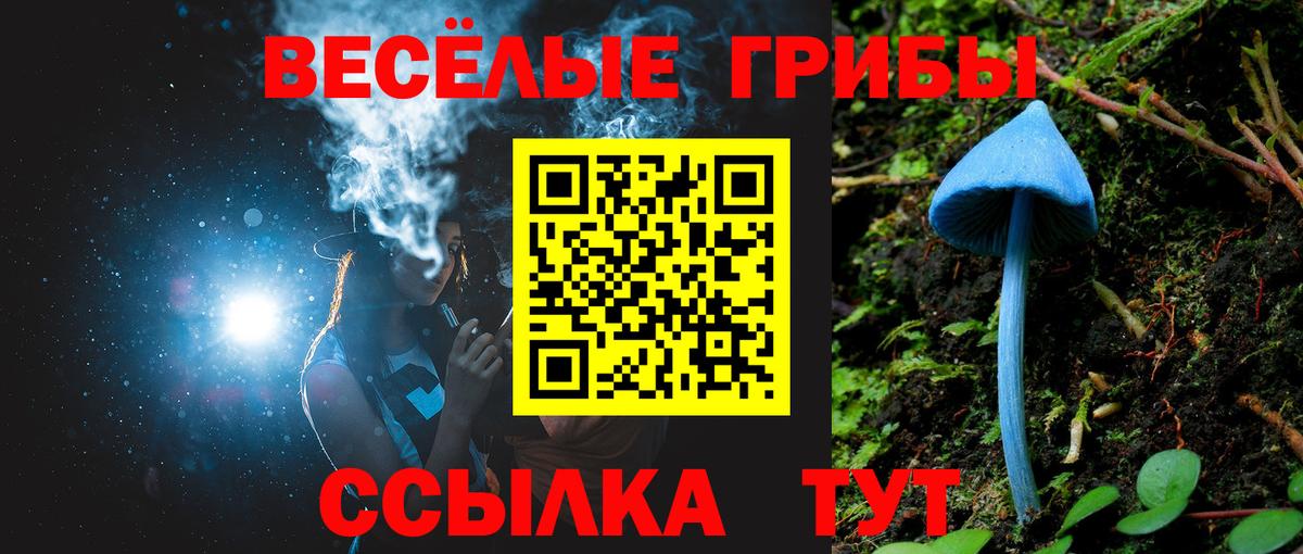 Псилоцибиновые грибы мухоморы Шатура